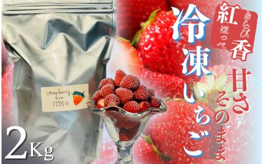 【先行予約＿2026年出荷分】地元JA品評会金賞受賞　冷凍イチゴ2Kg　【 いちご 果物 フルーツ 苺 イチゴ 冷凍 果物 フローズン くだもの 大容量 静岡県産 期間限定 】　<AO-4>