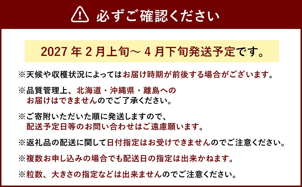 大粒 あまおう 4パック