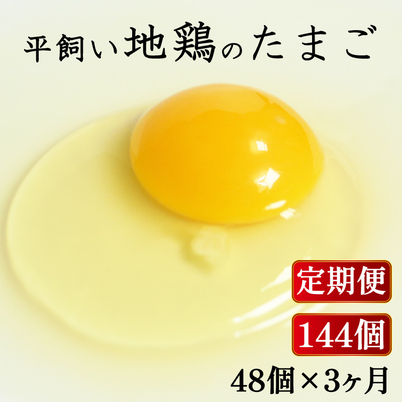 
定期便 全3回 平飼い地鶏のたまご 48個×3ヶ月 合計144個 毎月48個 たまご 卵 玉子 生卵 鶏卵 平飼い 岡崎おうはん 地鶏 鳥 鶏 愛知 なごや 岡崎 愛媛 愛南町 ケーキ お菓子 おかず ブランド 希少 送料無料 ローカルスタンダード
