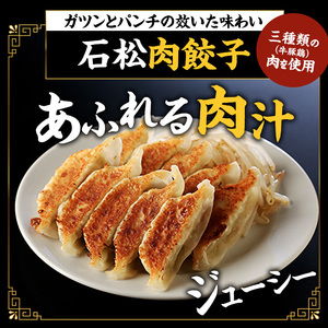 餃子 浜松餃子 石松 食べ比べセット 58個 餃子