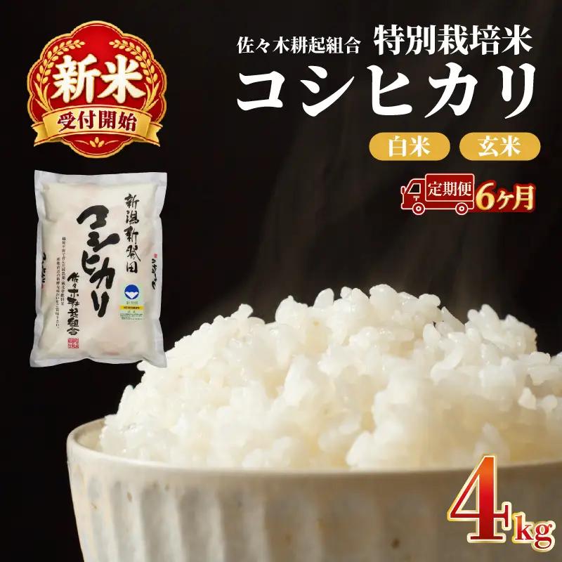 【新米 定期便】 4kg × 6ヶ月 令和8年産 新潟県産 特別栽培米コシヒカリ 米 お米 ごはん 白米 コシヒカリ 佐々木耕起組合 プレゼント ギフト 贈答 定期便 特別栽培米 佐々木耕起 佐々木こうき 新潟県新発田市産 ssk006