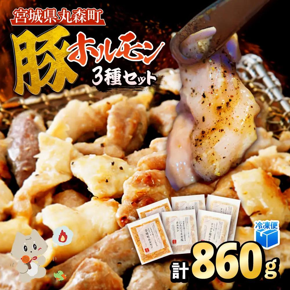 【古今東北】 丸森町大槻ファーム 豚ホルモン3種セット(計860g）【30102】