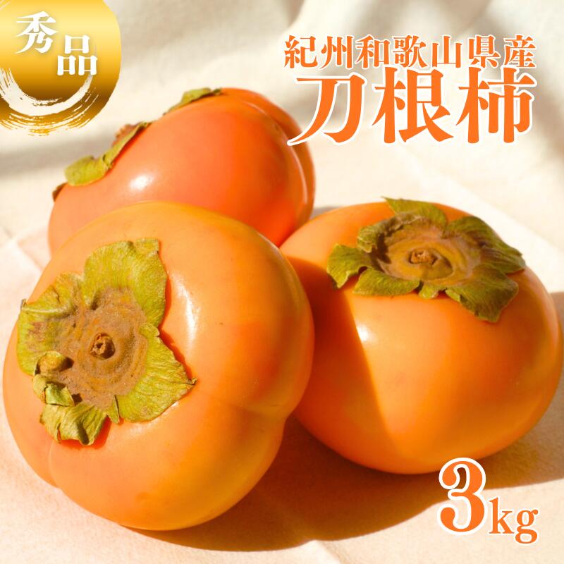 【ふるさと納税】 【☆令和8年産☆先行予約】 刀根柿【秀品】約 3kg 【2026年9月下旬～10月上旬に順次発送致します。】/ 和歌山県 紀美野町 2L～4L 種なし カキ 柿 甘い 美味しい 秋の味覚