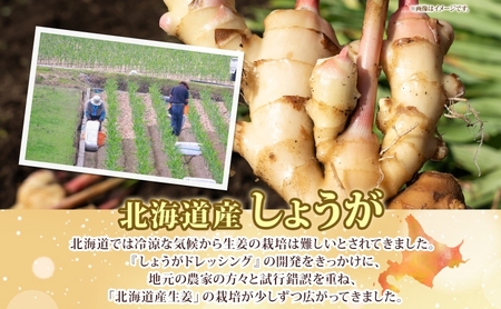 生姜 ジンジャードレッシング 220ｇ×4本 しょうが ショウガ たっぷり 調味料 たれ 万能 ノンオイル ドレッシング 贈り物 北海道 新篠津村