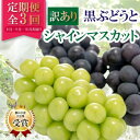 【ふるさと納税】【発送月固定定期便】【訳アリ】山梨の黒ぶどう2種類・シャインマスカット全3回【配送不可地域：離島】【4064510】