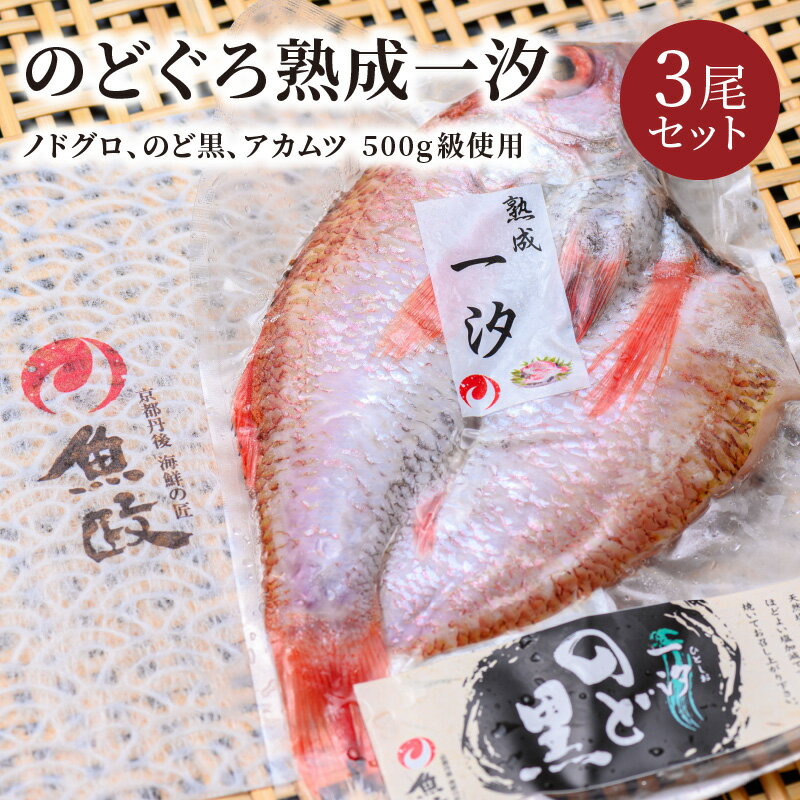 【ふるさと納税】【海鮮の匠　魚政】のどぐろ熟成一汐（ノドグロ、のど黒、アカムツ）500g級使用 仕上がり後 370g以上 3尾セット 海鮮 魚介 天然塩 冷凍 干物 一夜干し 脂のり 焼き魚 高級魚 旬 旨み 凝縮 塩焼き 煮付け 濃厚 上質 脂 日本海 個包装 魚政 送料無料