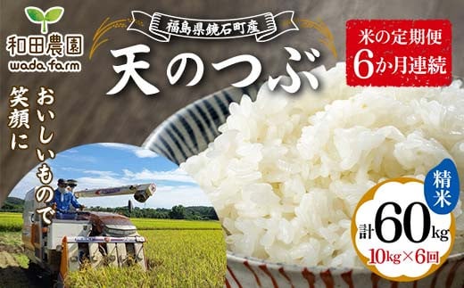 【米の定期便】福島県鏡石町産 和田農園「天のつぶ」精米10kg 6か月連続 F6Q-201