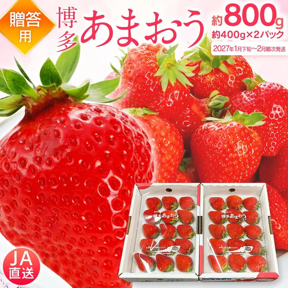 先行予約いちご あまおう 合計約800g 約400g×2パック 【2027年1月下旬～2月順次発送】 あまおう