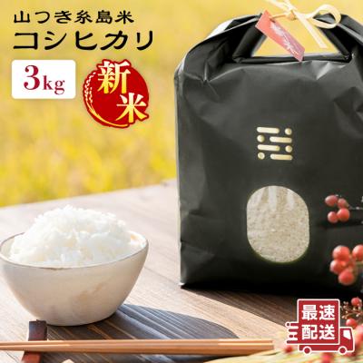 ふるさと納税 糸島市 糸島で育てた山つき糸島米3kg(コシヒカリ) 糸島市/itoshimacco[ARJ009]