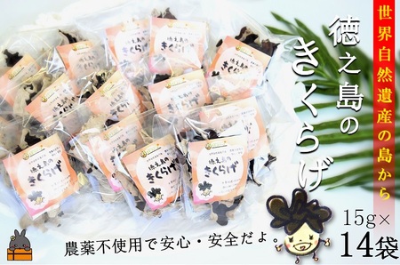 天然水使用・完全天日干し徳之島産きくらげ（15g×14袋）( きのこ 健康 国産 安心 安全 和食 中華料理 こりこり 料理 天然水 中華丼 汁物 具材 朝食 昼食 夕食 )