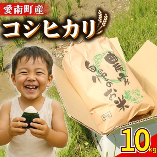 新米 令和7年産 コシヒカリ 10kg ( 5kg × 2袋 ) 米 お米 白米 精米 こしひかり 人気 産地直送 国産 農家直送 期間限定 数量限定 特産品 令和7年度産 2025年産 大粒 もっちり 粘り 甘み おいしい おにぎり 贈答品 プレゼント 和家農園 愛南町 愛媛県