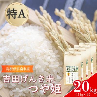 ふるさと納税 雲南市 島根県雲南市産　吉田げんき米　つや姫　20kg(5kg×4)