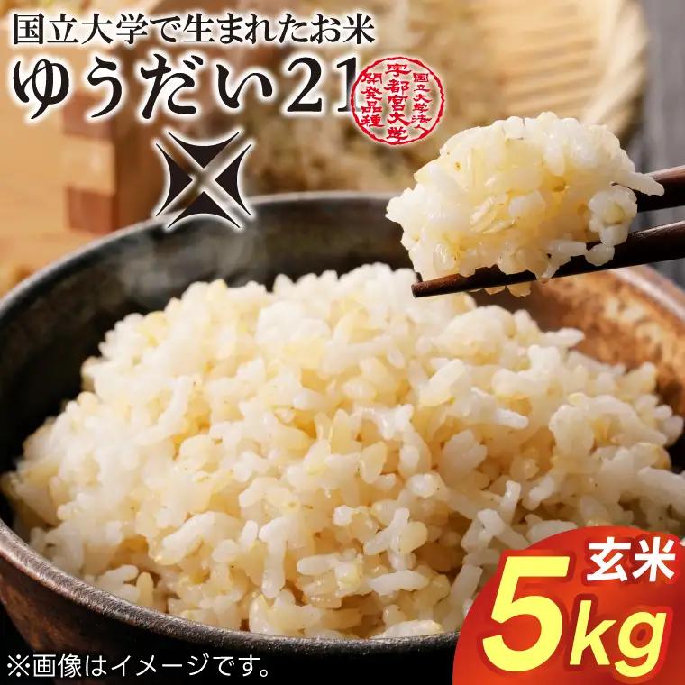 令和8年産 ゆうだい21 玄米 5kg DQ008