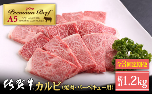 
【全3回定期便】佐賀牛 カルビ 400g ( 焼肉用 ) 【山下牛舎】 [HAD094]
