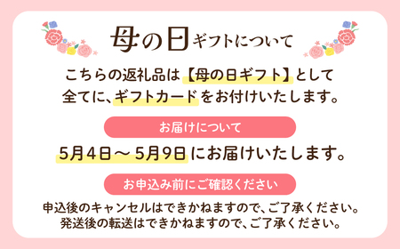 W26-17R01 【母の日】新茶 八女星野茶 100g×3本