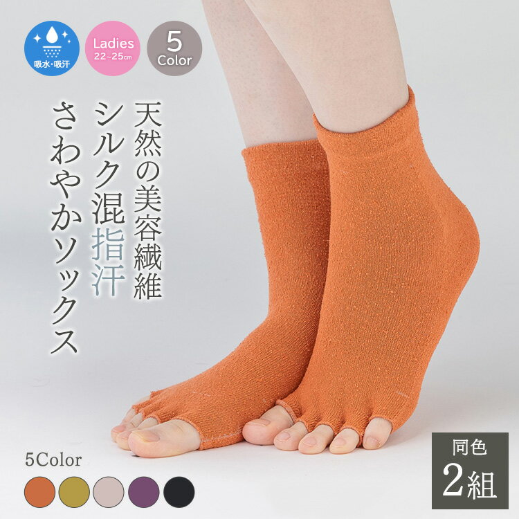 【ふるさと納税】天然の美容繊維 シルク指汗さわやかソックス 同色2組 フリーサイズ H-SO1203X2