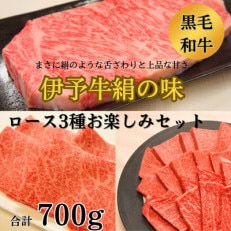 伊予牛絹の味　ロース3種　お楽しみセット(ステーキ&すき焼き&焼肉)