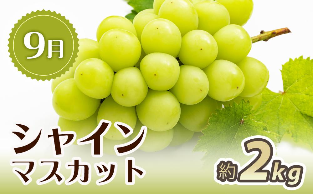 【6・7・9月 全3回】紀州和歌山産旬のフルーツセット（スイカ・バレンシア・シャイン）【UT93】