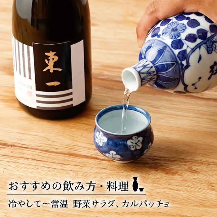 日本酒 東一 日本酒飲み比べ2種 NBQ001 