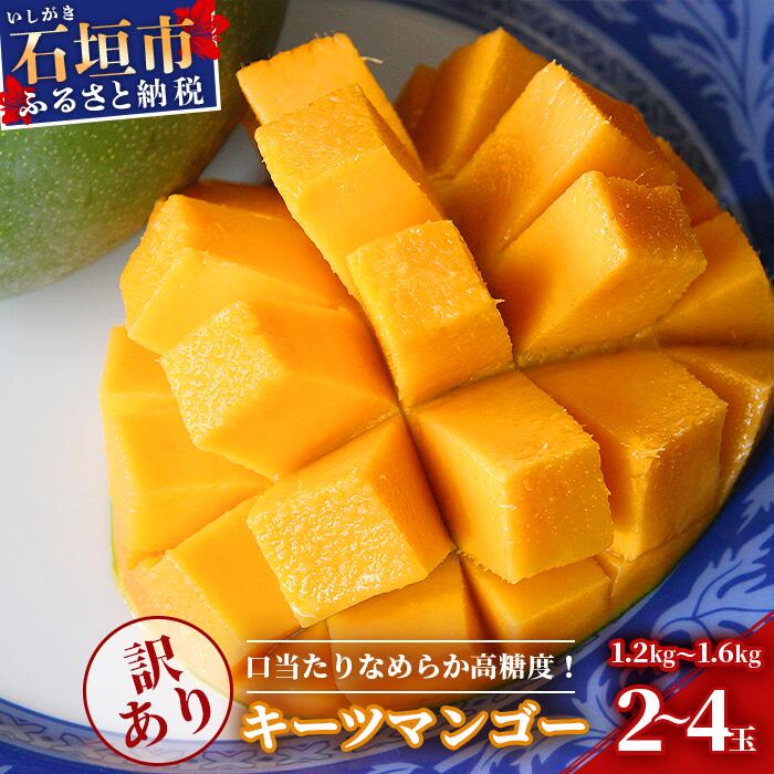 【ふるさと納税】予約受付【訳あり】石垣島産 キーツマンゴー 1.2kg~1.6kg (2~4玉) 【2025年発送分】 口当たりなめらかな 高騰度マンゴー | ふるさと納税 マンゴー キーツマンゴー ご家庭用 フルーツ 果物 果実 国産 沖縄県 石垣市 石垣島 ふるさと 人気 送料無料