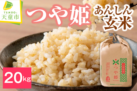 【2026年4月下旬発送】令和7年産 【 あんしん玄米 】 つや姫 20kg 米 玄米 山形 08-01-221-04C