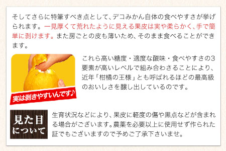 デコポン ( 不知火 )と同品種！デコみかん 熊本県産 (津奈木町産含む) 訳あり 約5kg前後(12-24玉前後) 柑橘《2月中旬-4月末頃出荷》 フルーツ 果物 蜜柑 柑橘 完熟 デザート 産地直