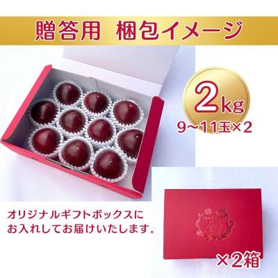 ふるさと納税 糸満市 【2025年発送・贈答用1kg(9玉〜11玉)×2箱】栽培期間中農薬不使用のパッションフルーツ |  | 01