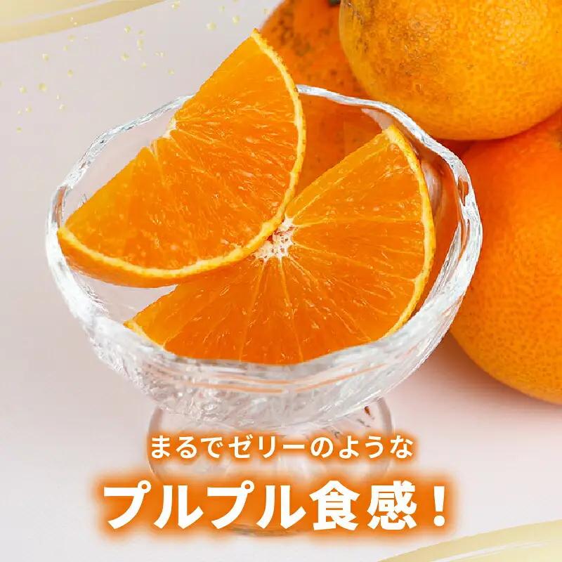【紅まどんなと同品種】 訳あり 愛果28号 まどんな 5kg マル南フルーツ B015-106027