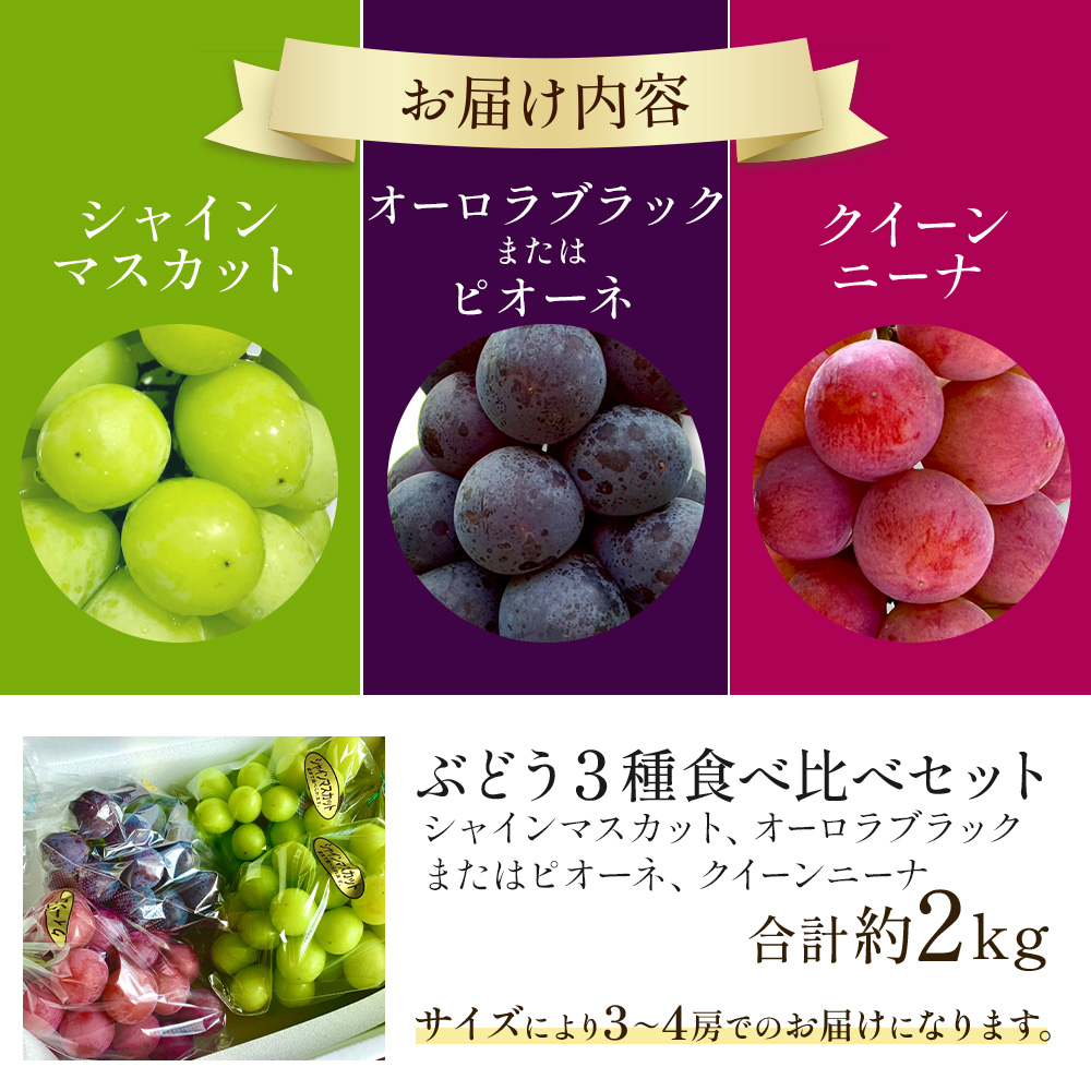 【2026年発送 先行予約】旬のぶどう３種食べ比べ アソート 計2kg程度（ シャインマスカット オーロラブラック・ピオーネ クイーンニーナ ） ぶどう ブドウ シャインマスカット シャイン マスカッ