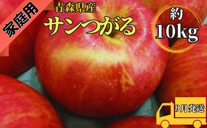 
サンつがる約10kg 家庭用（9月発送）青森県産
