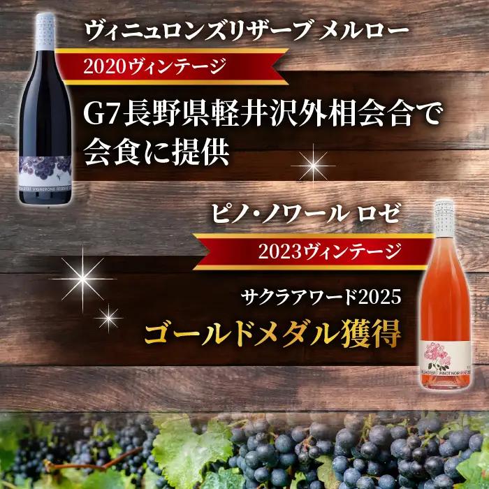 白ワイン 辛口 2種4本 セット（プリマベーラ シャルドネ ＆ソーヴィニョン ブラン）| ヴィラデスト ワイナリー 長野ワイン 日本ワイン ワイン 辛口 GI長野