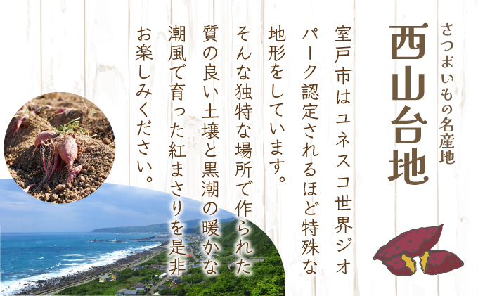 【先行予約】掘りたて！あま〜い新さつまいも（紅まさり）2.5ｋｇ 芋 さつま芋 野菜 サツマイモ 故郷納税 送料無料