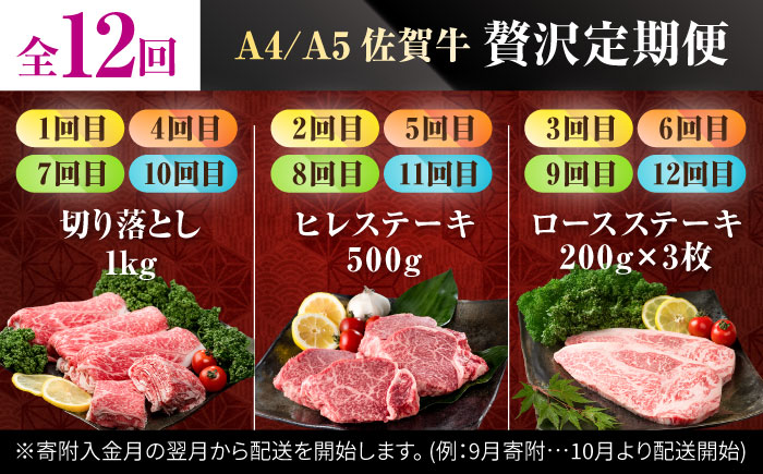 【肉のプロが厳選！】【全12回】佐賀牛 贅沢定期便【株式会社いろは精肉店】 [IAG076]