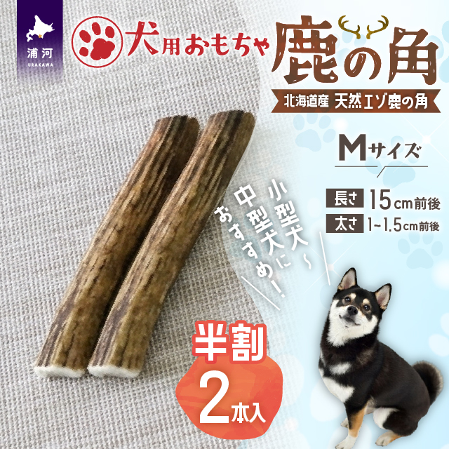 犬用「鹿の角(半割り)」Ｍサイズ×2本[53-1599]