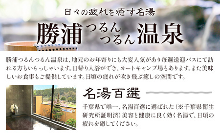 つるんつるんボディーソープ 950ml×1本 勝浦つるんつるん温泉《30日以内に出荷予定(土日祝除く)》【配送不可地域あり】| ボディーソープ ボディーソープ ボディーソープ