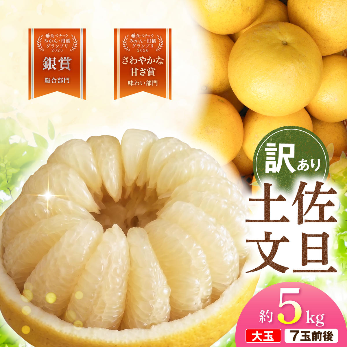 【先行予約】文旦 家庭用大玉 5キロ 5kg（3L～上限なし：7玉前後）〈2027年1月20日～発送〉皮むき器付き 訳あり 文旦 ぶんたん フルーツ 果物 高知 土佐市 大玉【土佐水谷農園】 [BQBD008]