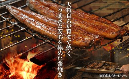 【6回定期便】うなぎ蒲焼き120g 1尾(無頭) 【 うなぎ 定期便 国産 うなぎ 定期便 かばやき うなぎ 定期便 】 Wun-0021