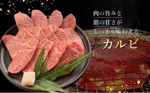 希少な特選石垣牛をご家庭で！！赤身（モモ、ランプ）とカルビ焼肉用食べ比べセット合計400g&石垣牛 MARU秘伝の焼肉タレ100ml×1本 | 沖縄 石垣 特選 牛 赤身 モモ ランプ カルビ 肉 焼