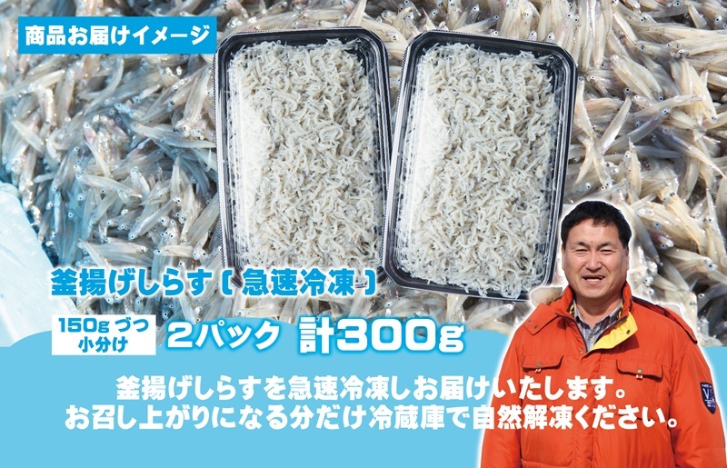 【お試し】しらす漁師が自らお届け！真面目漁師 濱ちゃんのこだわり 減塩 釜揚げしらす 300g 小分け 150g×2P G2864_イメージ4