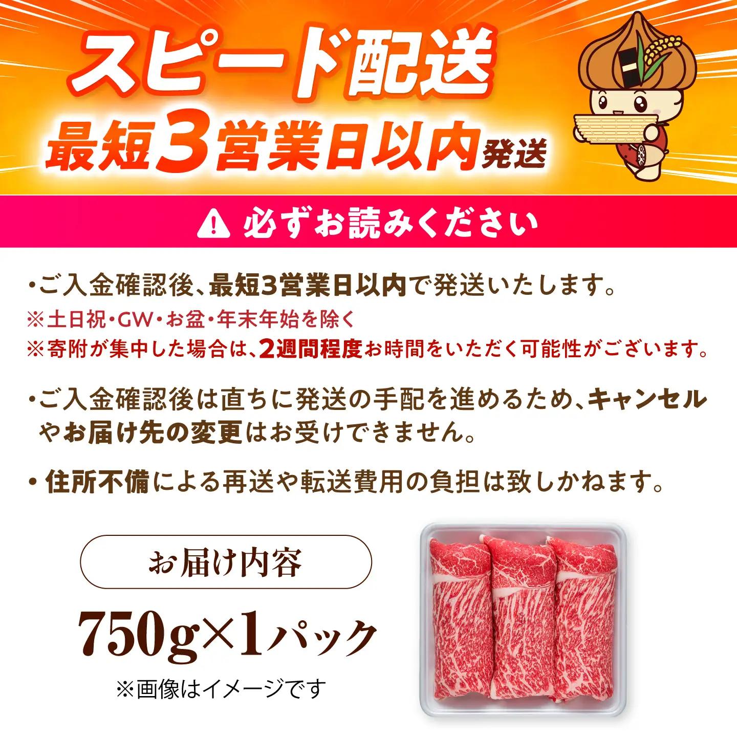 【スピード発送】佐賀産和牛 牛肉切り落とし 750g [IAG208] 牛肉切り落とし