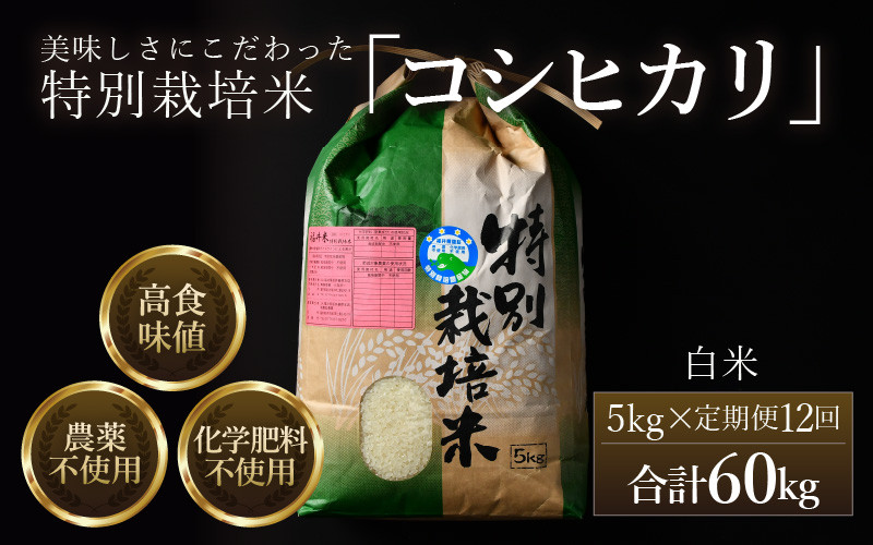 
            【先行予約】【令和8年産 新米】定期便《12ヶ月連続お届け》コシヒカリ 精米 5kg （計60kg）特別栽培米 農薬不使用 化学肥料不使用 ／残留農薬ゼロ 高品質 鮮度抜群 福井県産 ブランド米 白米 ※2026年10月上旬以降順次発送 [aw063-o005]
          