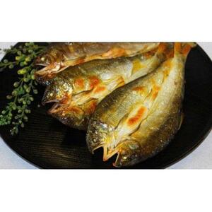 すだち鮎  (約1kg)・一夜干し (5枚) セット 冷凍 鮎 あゆ 魚