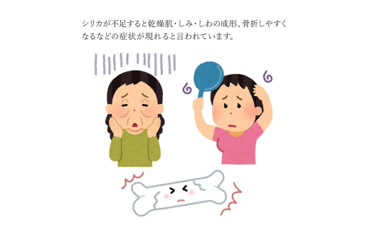 【桜屋】6回 定期便 シリカ天然水「サクラシリカ」500ml 16本 計96本 定期便 シリカ含有量99mg/L シリカ水 ラベルレス 水 ミネラルウォーター 飲料水 飲料 ペットボトル ナチュラルウォーター サルフェート 炭酸水素イオン ミネラル 国産 阿蘇 小国郷