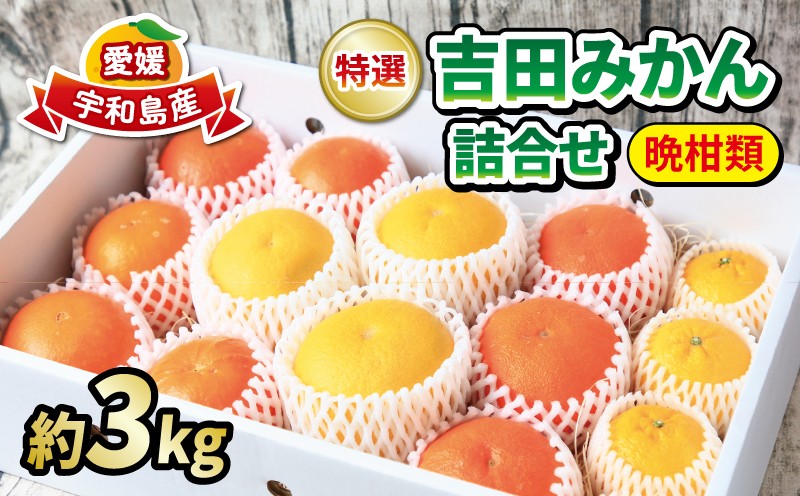 
            みかん 詰合せ 晩柑 竹 3kg 贈答用 特選 吉田みかん フレッシュつちやま 秀品 贈答品 ギフト 高級 ネット掛け 柑橘 詰め合わせ セット 蜜柑 みかん 果物 くだもの フルーツ 愛媛蜜柑 愛媛みかん 産地直送 数量限定 国産 愛媛 宇和島 B010-096028
          