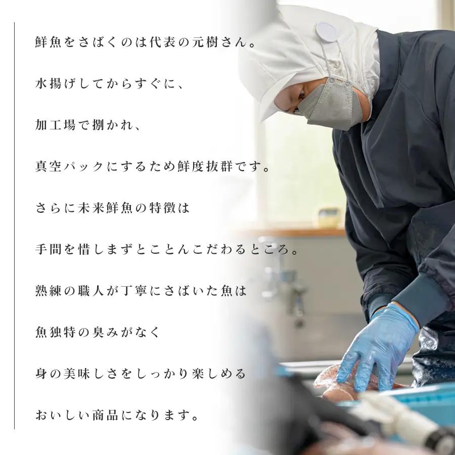 旬のお刺身用 柵セット 2-3種 高知 海鮮 盛り合わせ 食べ比べ 鮮度抜群 刺し身 グルメ 酒の肴