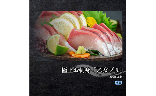 刺身 定期便 3ヶ月 小容量 コース 小島水産 産地直送 かつお ブリ 真鯛 3回 新鮮 乙女鯛 乙女ブリ 藁焼き かつおタタキ 鯛 タイ 鰤 ぶり 鰹タタキ 鰹 カツオ  かつおのたたき 海鮮 お刺