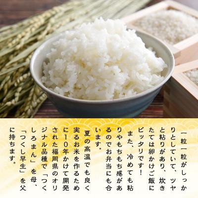ふるさと納税 粕屋町 令和7年産 元気つくし10kg(粕屋町) |  | 01