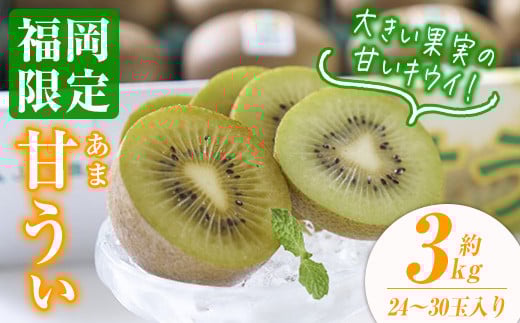 
            ＜先行予約受付中！2025年10月下旬～2025年11月下旬に順次発送予定＞甘うぃ キウイ(約3kg・24-30玉)キゥイ キューイ キュウイ あまうぃ フルーツ 果物 くだもの＜離島配送不可＞【ksg0125】【南国フルーツ】
          