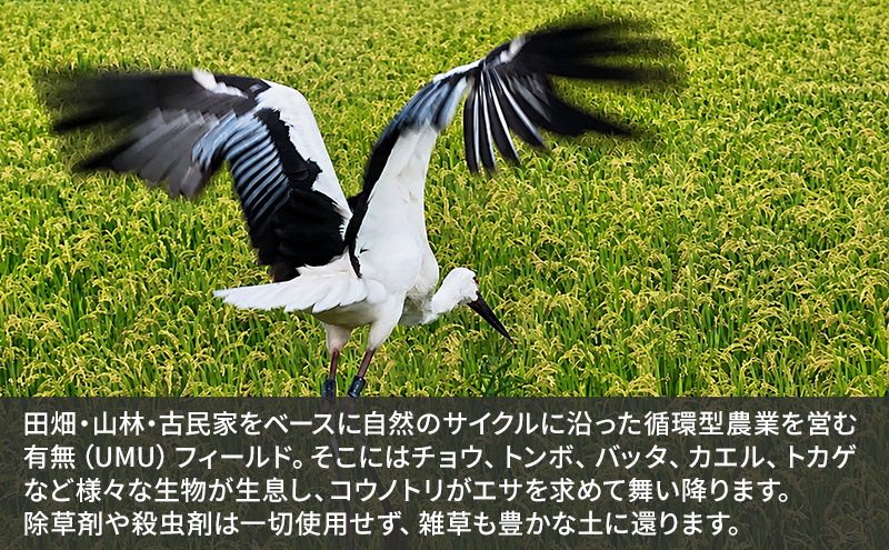 米 コウノトリ舞う田んぼで大自然が育てた"有無ファーム"