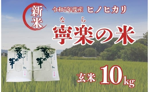 令和7年度産 新米 ヒノヒカリ 玄米 寧楽の米 数量限定【10kg】ひのひかり 精米 白米 ご飯 ごはん 米 お米  農家 直送  奈良県 奈良市 なら 25-030